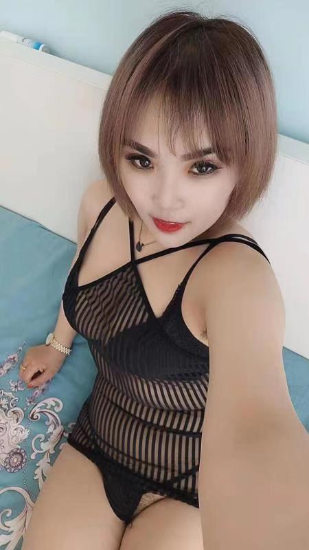 宋家庄附近耐干型风Sao大奶牛